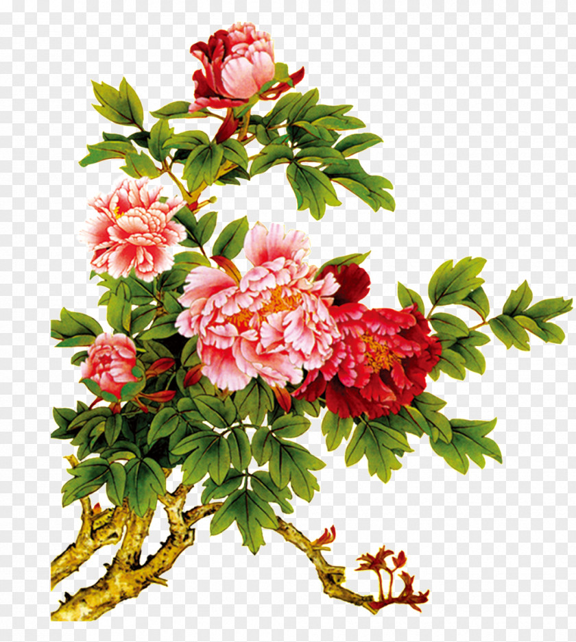 Of Peony Bouquets Image Design Painting PNG