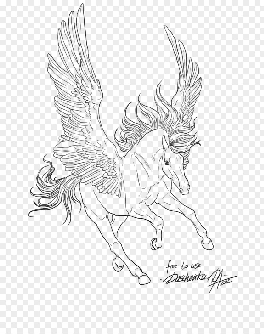 Pegasus Line Art Drawing Winged Unicorn PNG