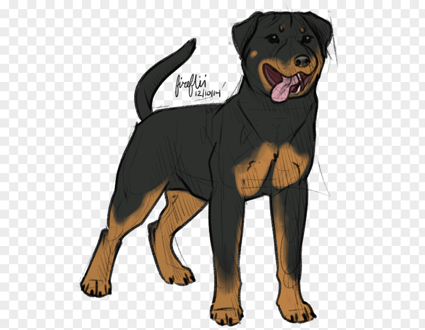 Puppy Rottweiler Dog Breed Chicken Snout PNG