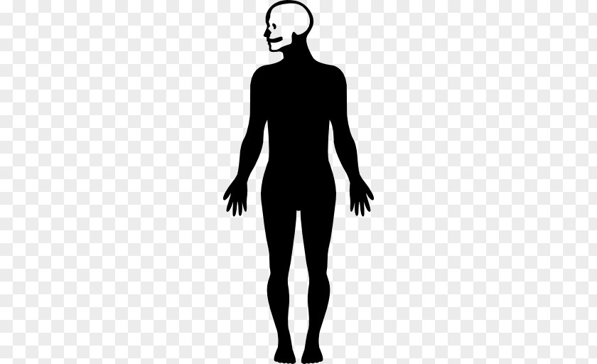 Shape Human Body Homo Sapiens Female PNG