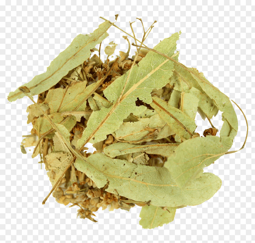 Tea Herbal Tilia Tomentosa Lemongrass PNG