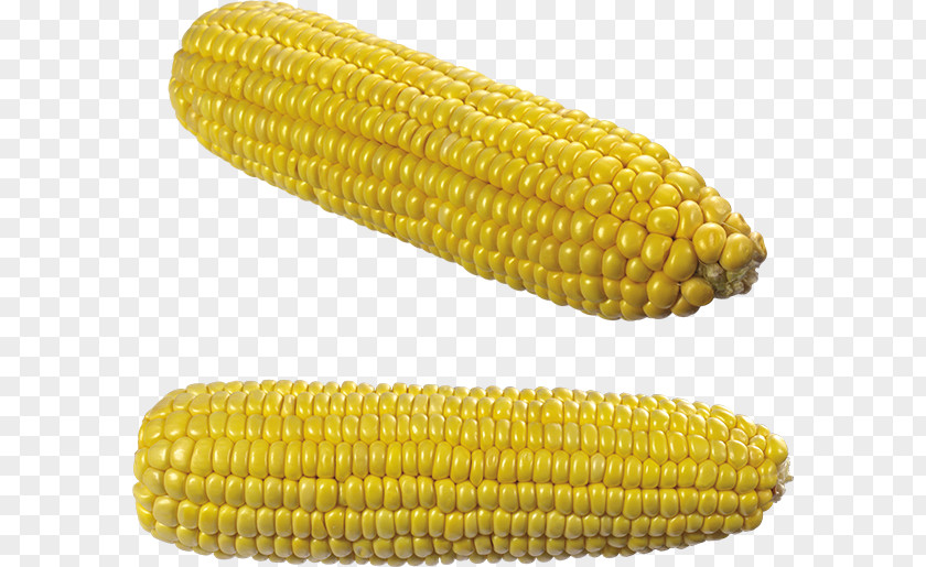 Vegetable Corn On The Cob Maize Grauds PNG