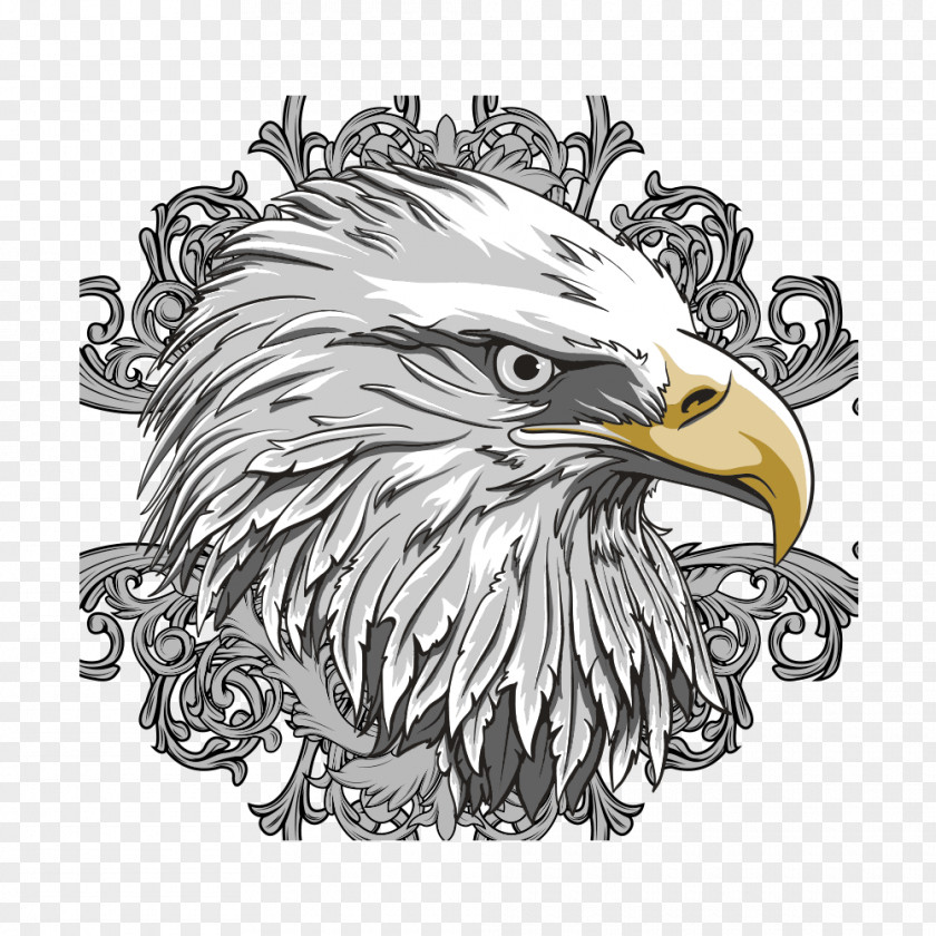 Eagle Euclidean Vector PNG