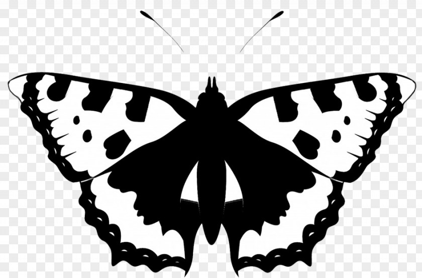 Capricorn Butterfly Silhouette Black And White Clip Art PNG