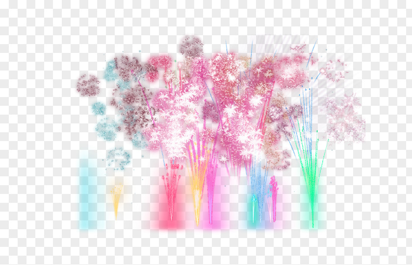 Fireworks Flower PNG