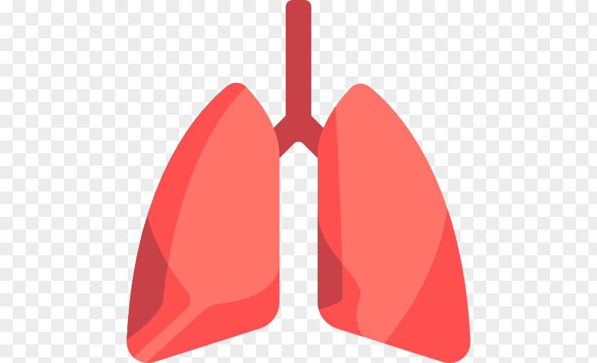 Lung Pulmonology PNG