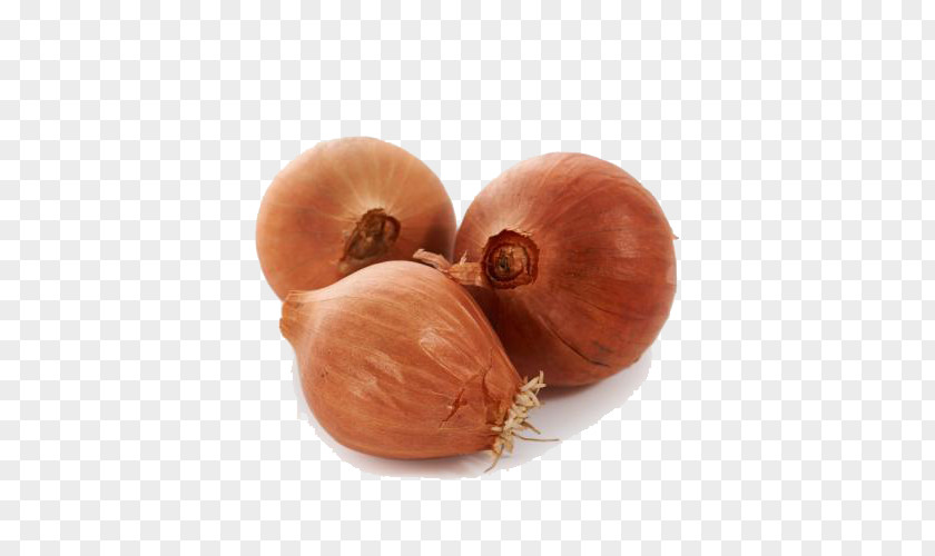 Organic Onions Yellow Onion Shallot PNG