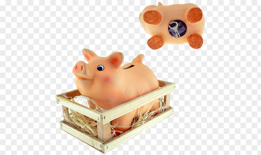 Pig Domestic Tirelire Piggy Bank Box PNG