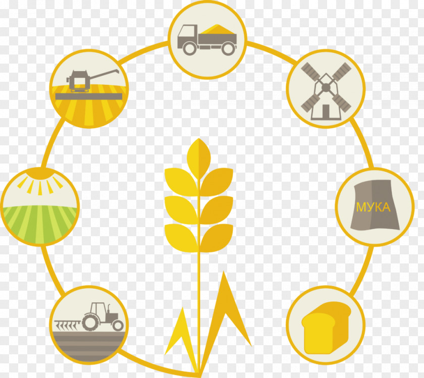 Timeline Cereal Agriculture Wheat Oat PNG
