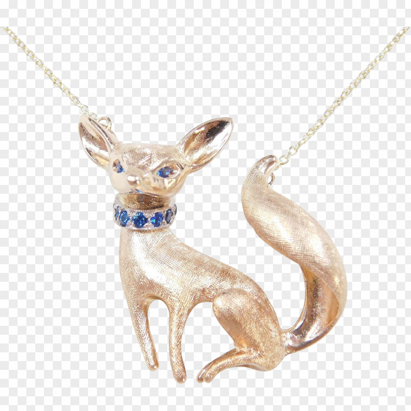 Fennec Fox Jewellery Necklace Charms & Pendants Clothing Accessories Dog PNG