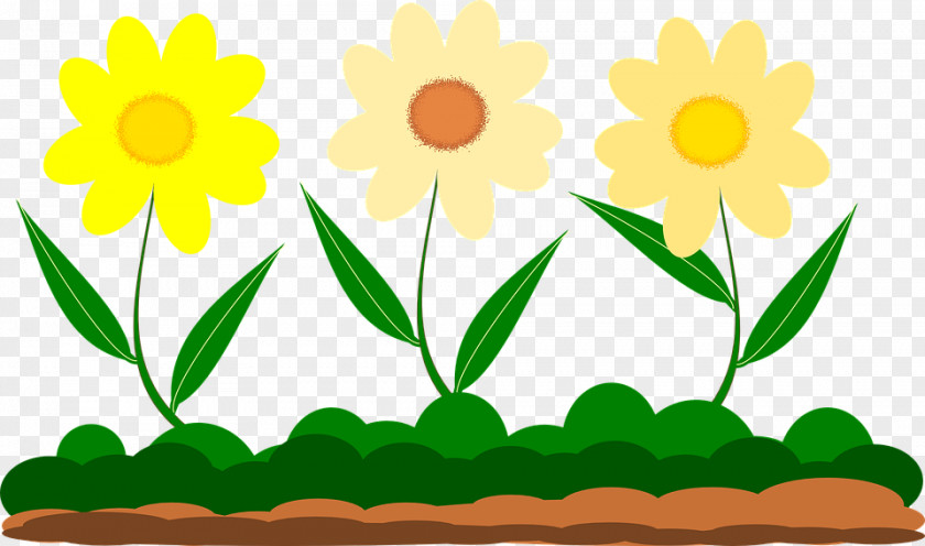 Flower Drawing Clip Art PNG