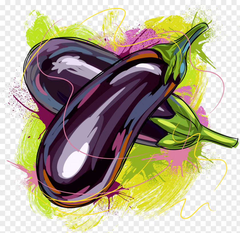 Vector Painted Eggplant Vegetable Illustration PNG