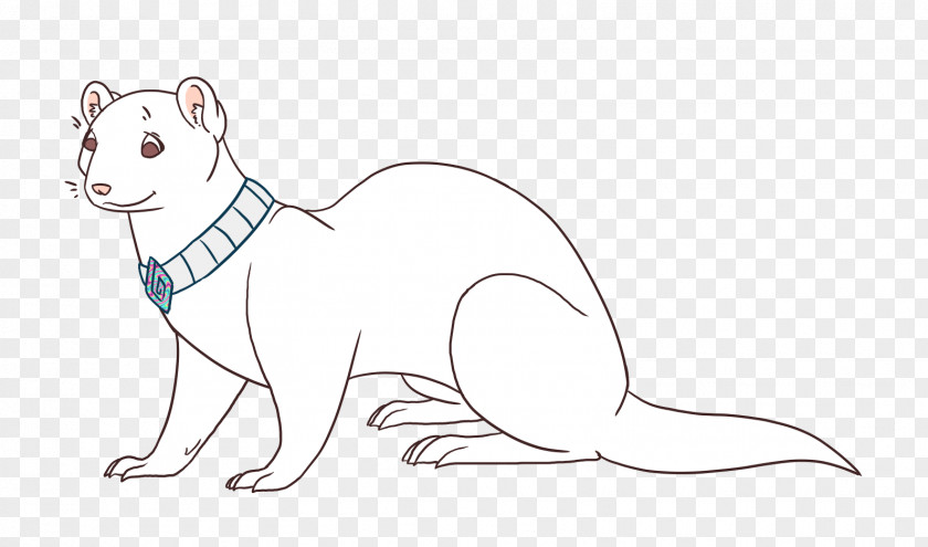 Color Shard Whiskers Cat Rat Mouse Ferret PNG