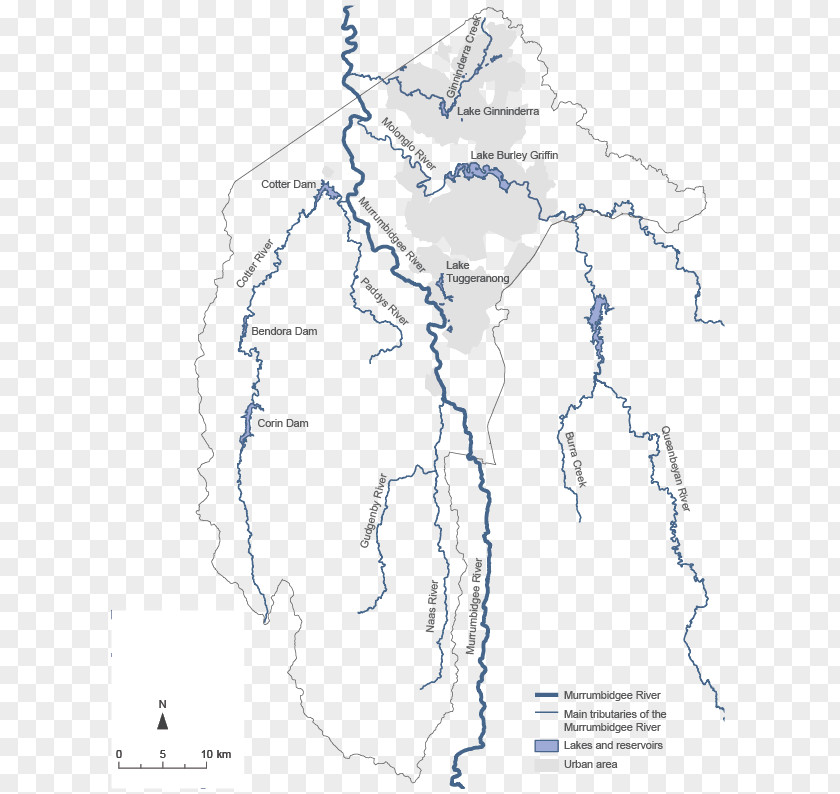 Line Point Map Organism PNG