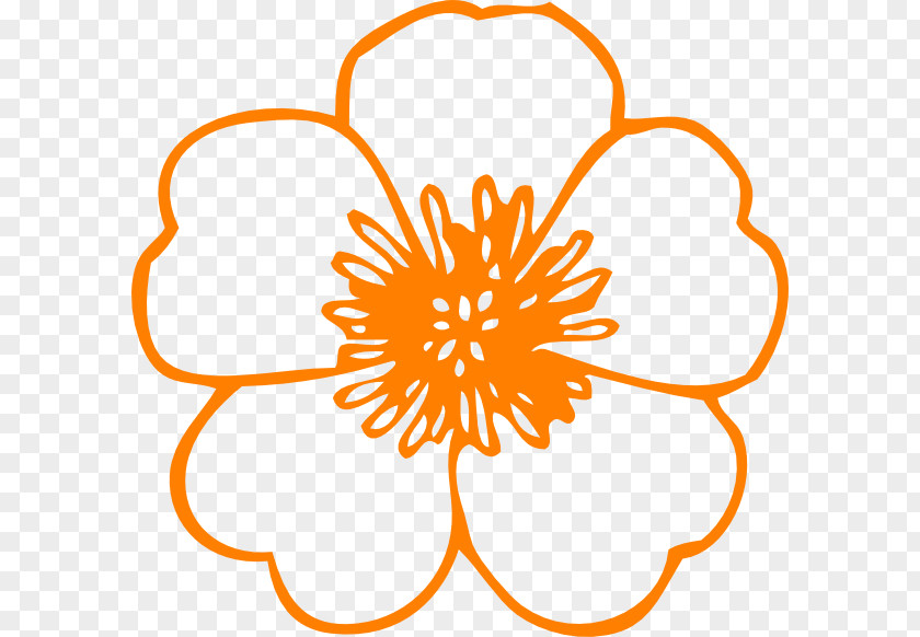 Orange Flowers Cliparts Coloring Book Flower Adult Child Drawing PNG