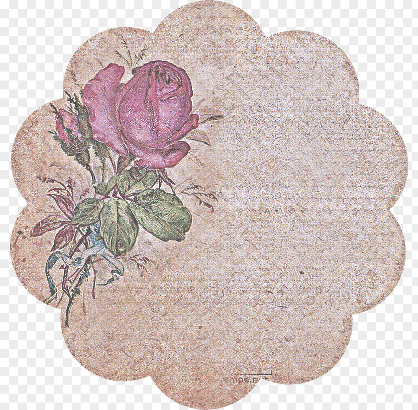 Rose Order Beige PNG