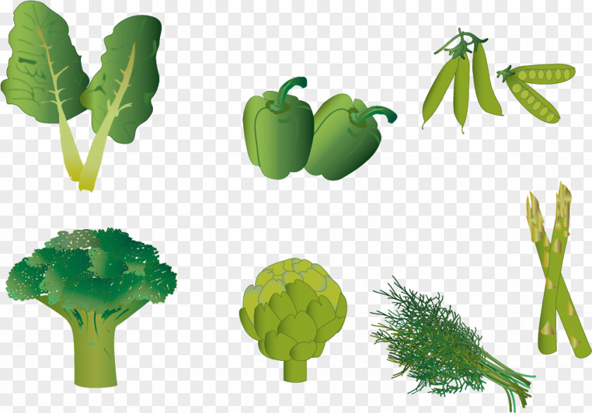 Vector Cooking Eat Leaf Euclidean PNG