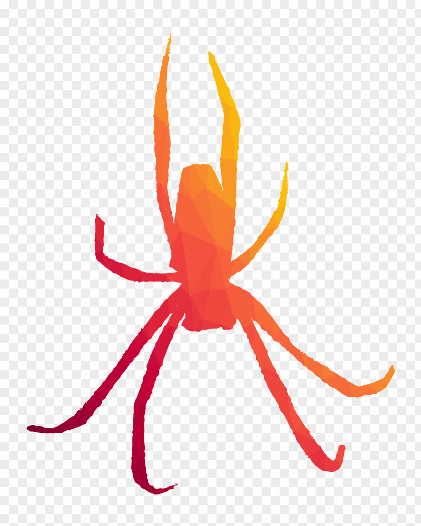 Clip Art Insect Line Pest Orange S.A. PNG