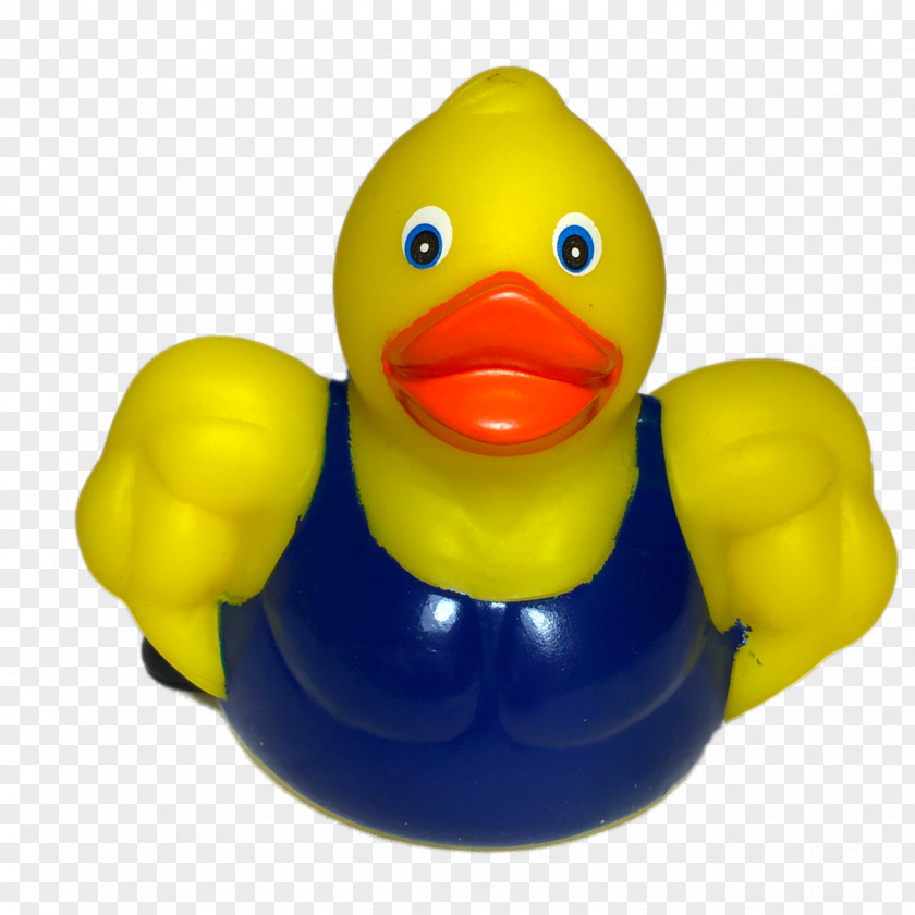 Duck Rubber Platypus Toy Muscle PNG