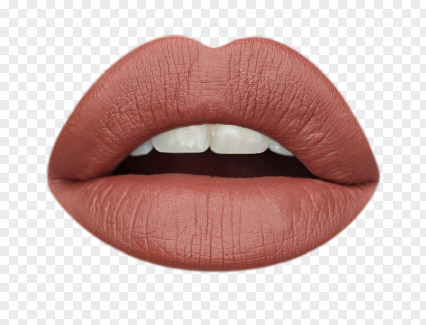 Lipstick Lip Balm Cosmetics Gloss Liner PNG