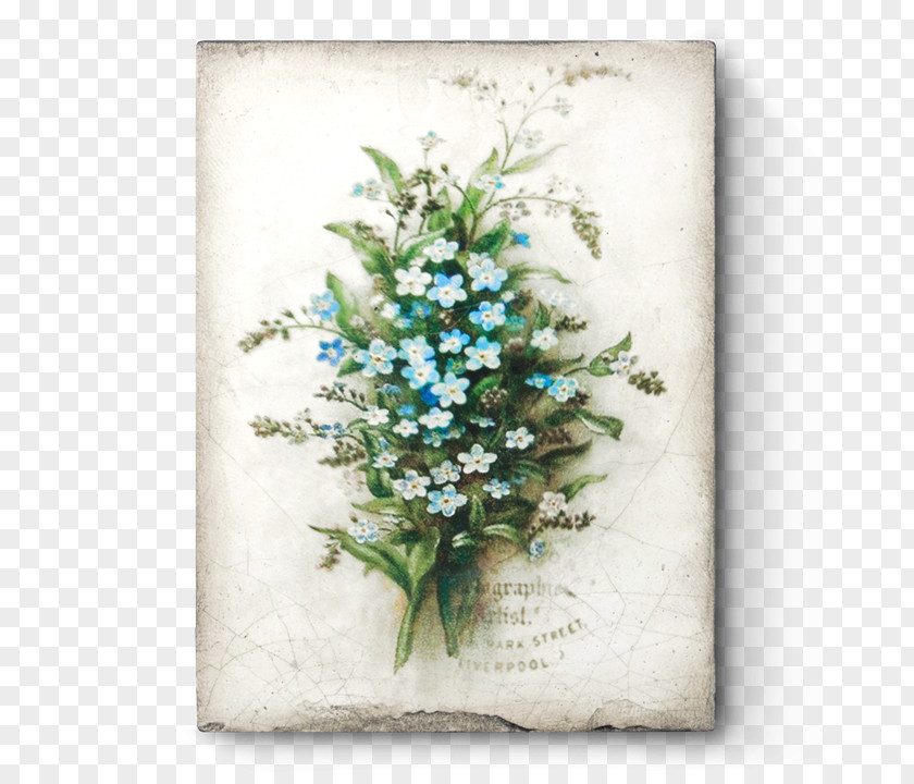 Forget Me Not Day Sid Dickens Inc Tile Wall Scorpion Grasses Design PNG