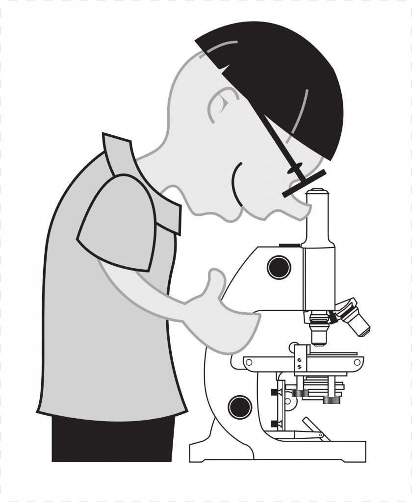 Scientist Optical Microscope Diagram Worksheet Clip Art PNG