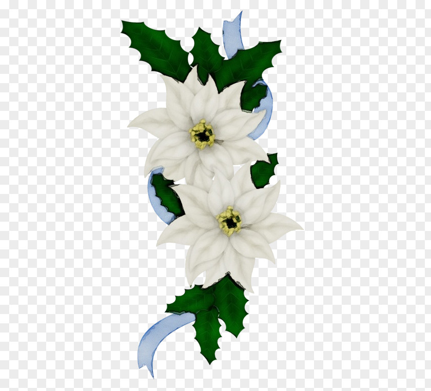 White Flower Plant Petal Cut Flowers PNG