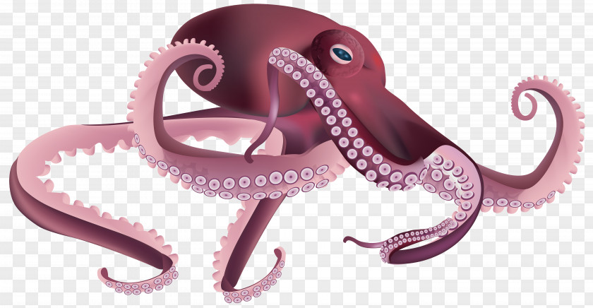 Birthday Part Octopus Clip Art PNG
