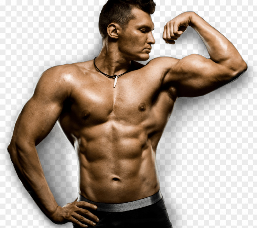 Health Dietary Supplement Muscle Exercise Endurance Bodybuilding PNG