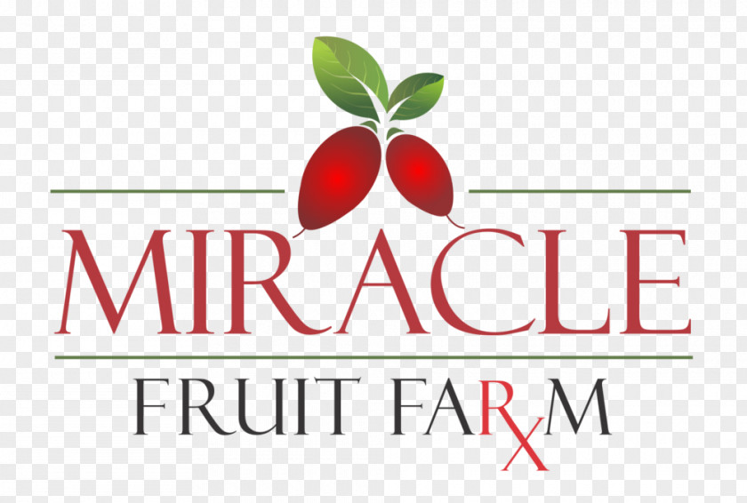 MIRACULOUS Logo Brand Font Product Fruit PNG