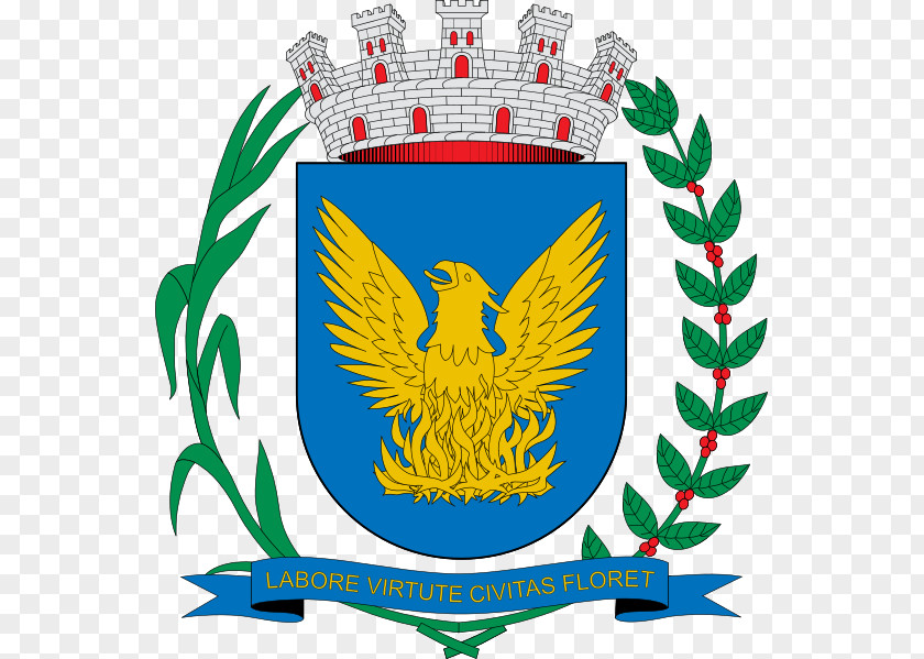 Tattoos De Ave Fenix Brasão Campinas Angostura Municipality, Sinaloa Coat Of Arms Escudo PNG