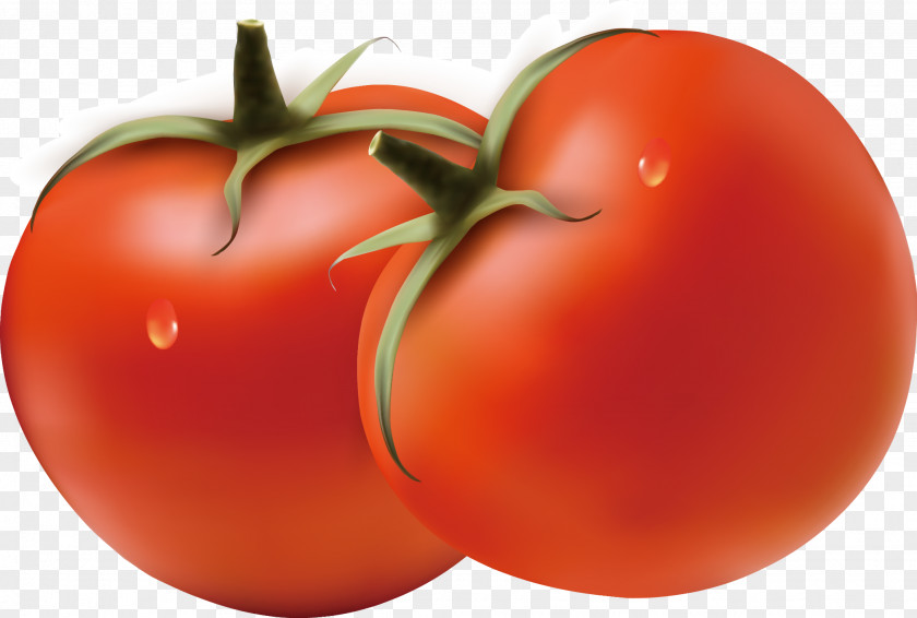 Tomato Plum Hamburger Bush Vegetable PNG