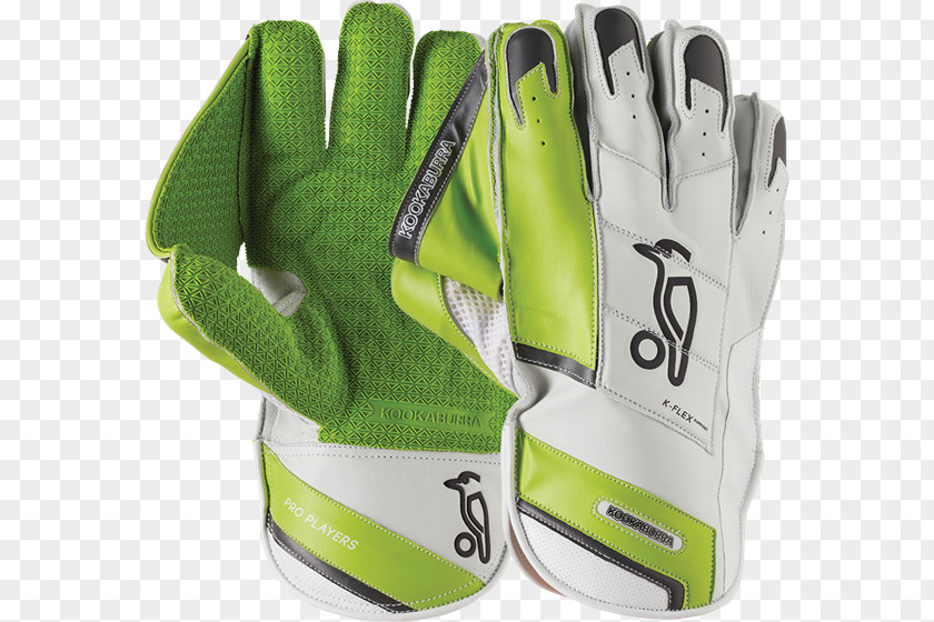 Cricket Lacrosse Glove Wicket-keeper's Gloves Gray-Nicolls PNG