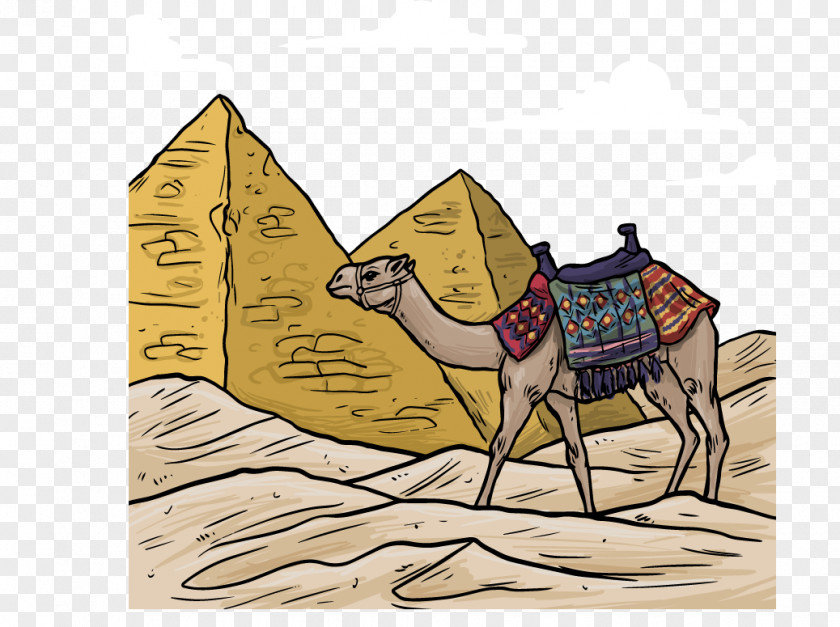 Egyptian Pyramids And Camel Colored Vector Material Ancient Egypt Illustration PNG