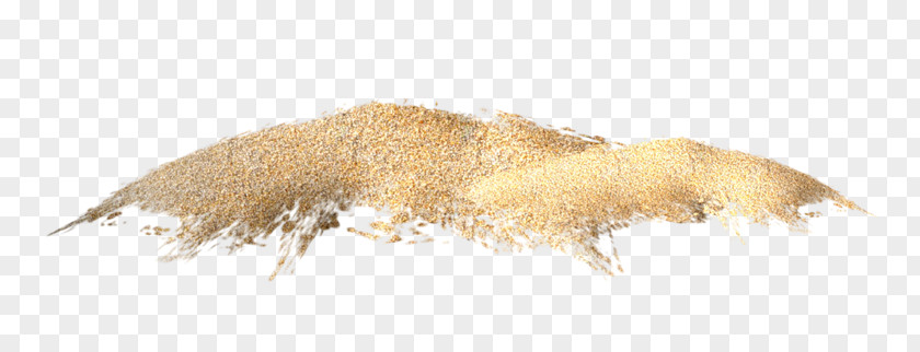 Golden Sand Clip Art PNG