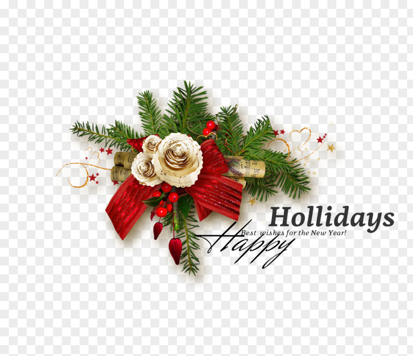 Rose Family Interior Design Christmas And New Year Background PNG