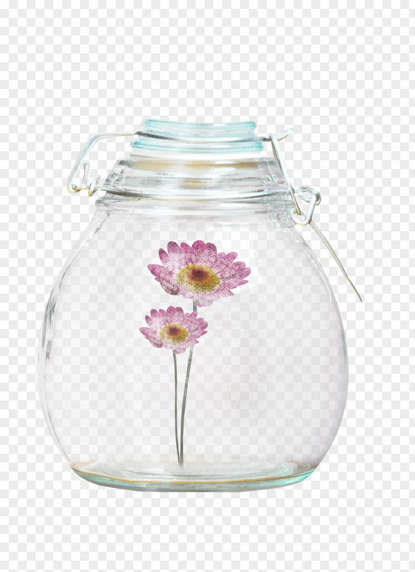 Vase Glass Bottle Transparency And Translucency PNG