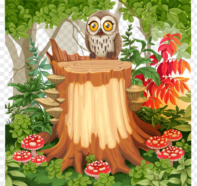 Vector Forest Owl Drawing Fairy Illustration PNG