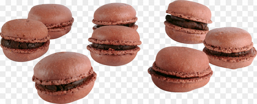 Biscuit Macaroon Chocolate Sandwich Cake Cookie PNG