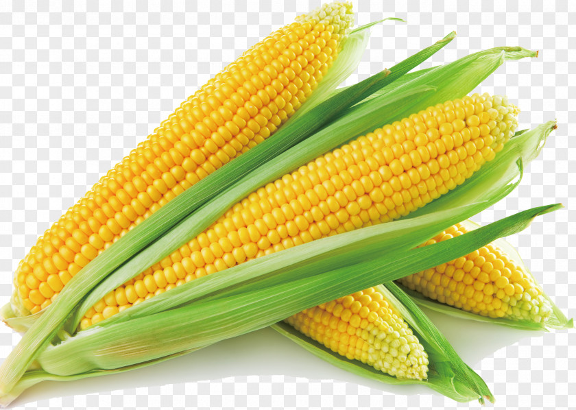 Corn Sweet On The Cob Soup Maize Vegetable PNG