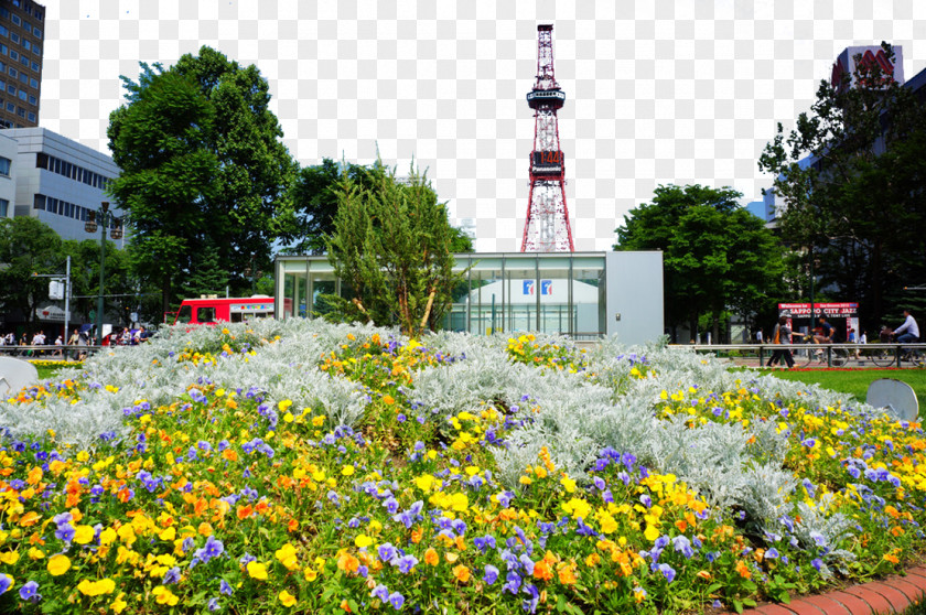 Hokkaido Odori Park Landscape Beihai Painting PNG