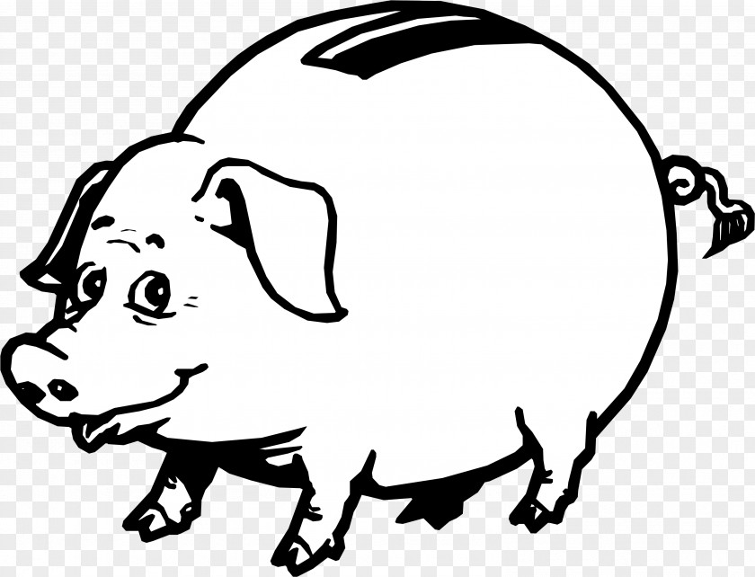 Piggy Bank Money Finance Domestic Pig PNG