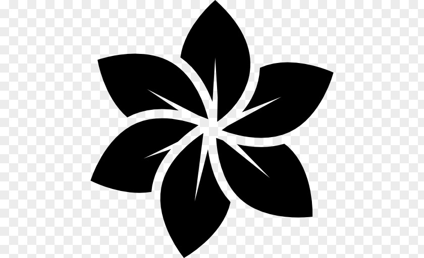 Plumeria Vector Flower Logo Black And White Clip Art PNG