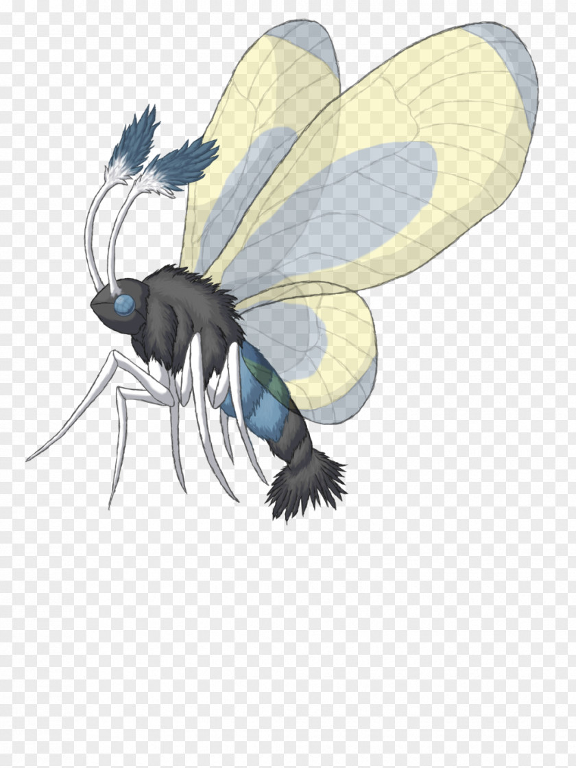 Sphynix Butterfly Honey Bee Mothim Drawing PNG