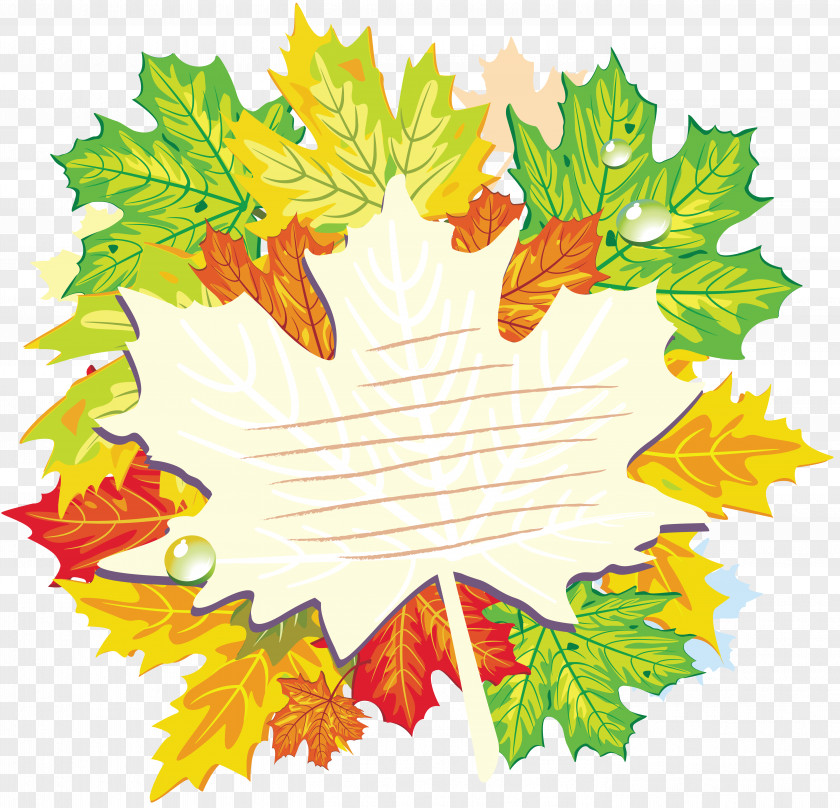 Autumn Leaves Knowledge Day School Lesson Teacher PNG