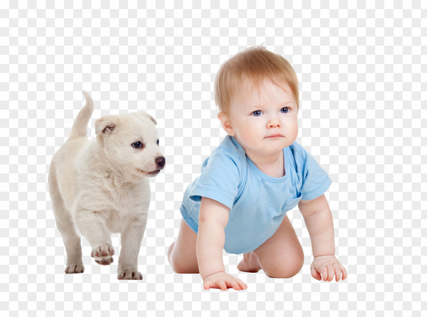 Child Old English Bulldog Puppy Skip Infant PNG