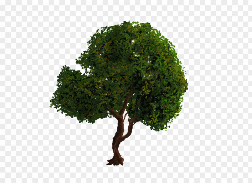 Date Palm Tree GIMP Clip Art PNG