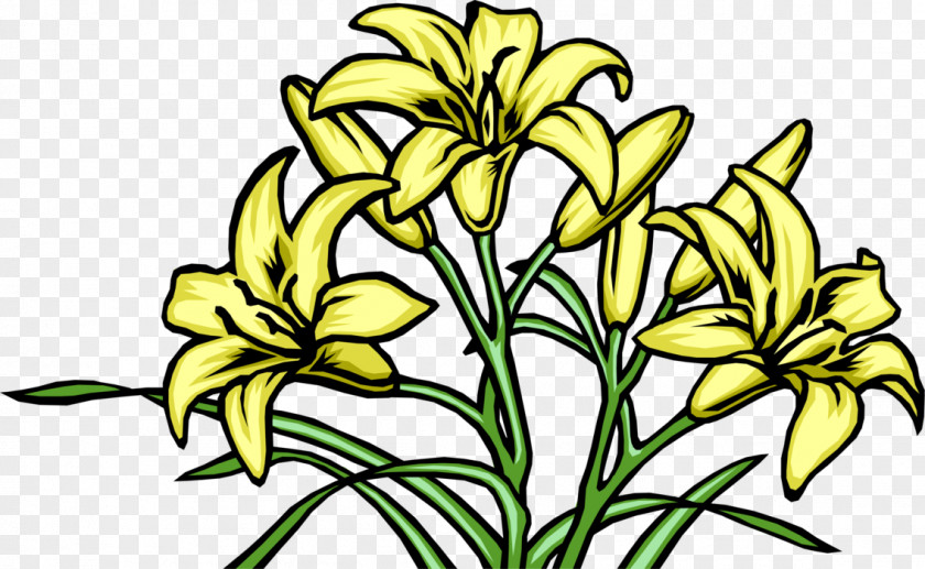 Daylily Vector Graphics Floral Design Flower Lily PNG