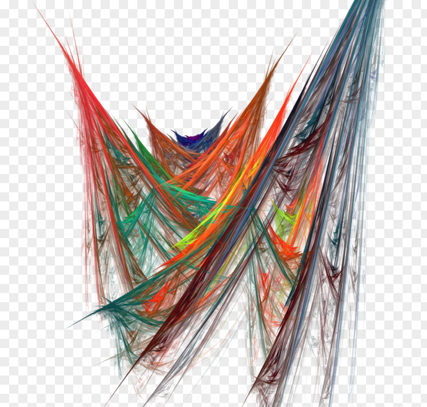 Design Feather Line PNG