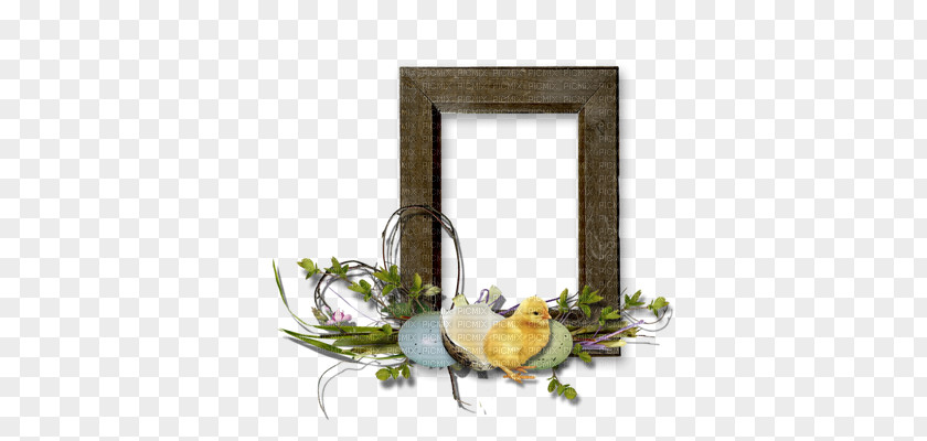 Easter Picture Frames Photography Clip Art PNG